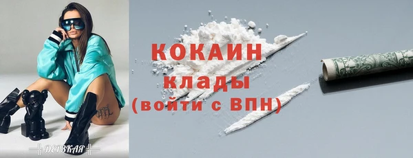 соль ск Касимов