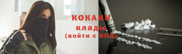 трава Карпинск