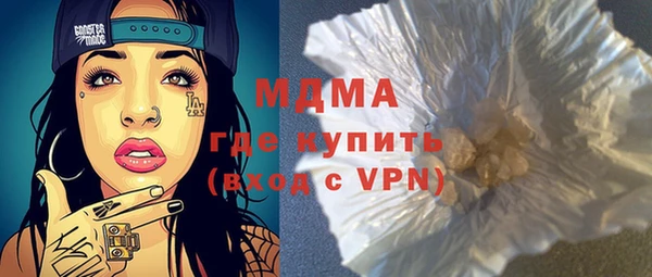 сатива Каменка